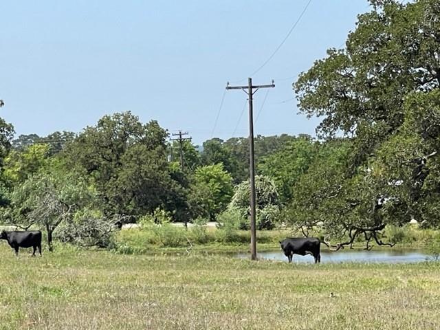 Ranch