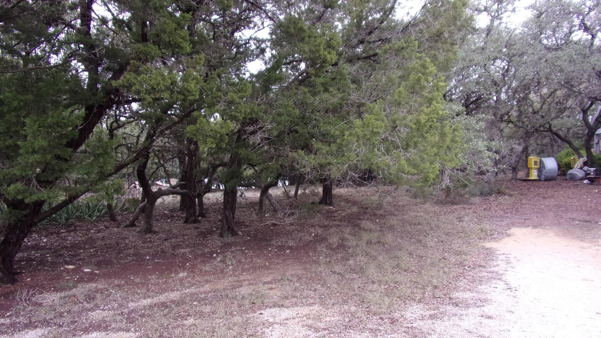Unimproved Land