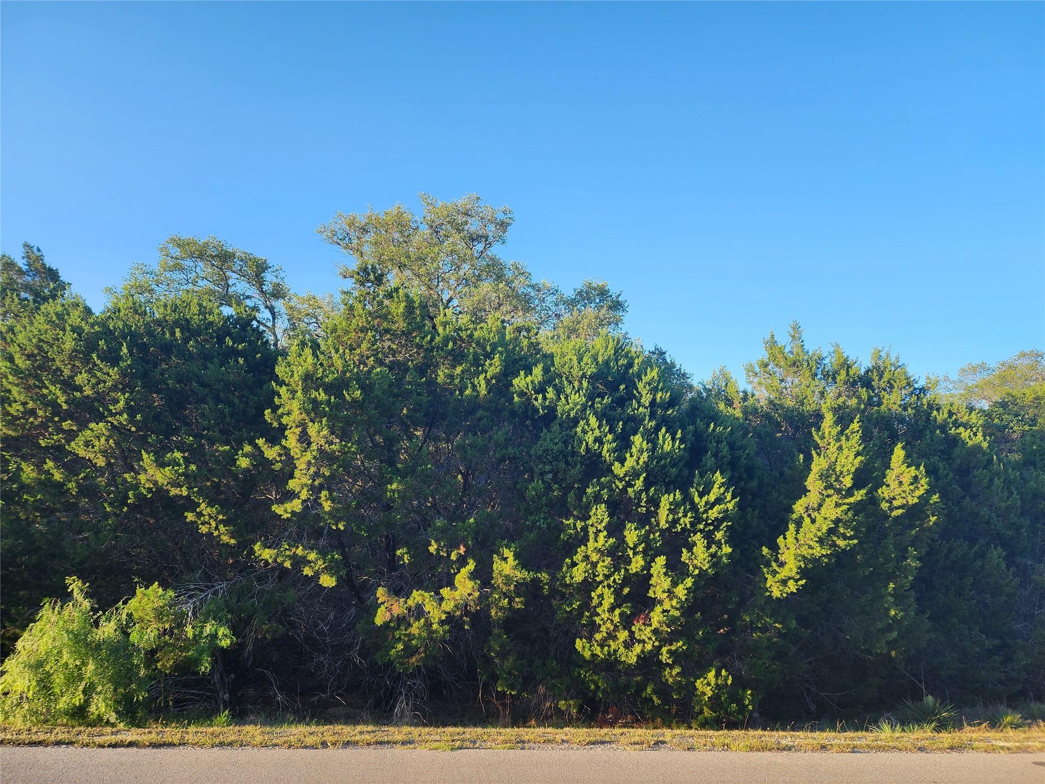 Unimproved Land