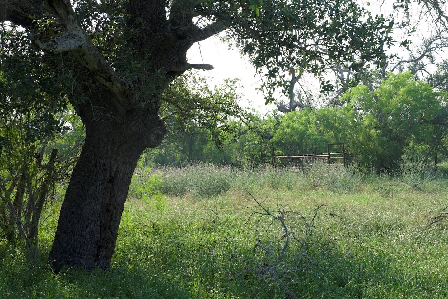Ranch
