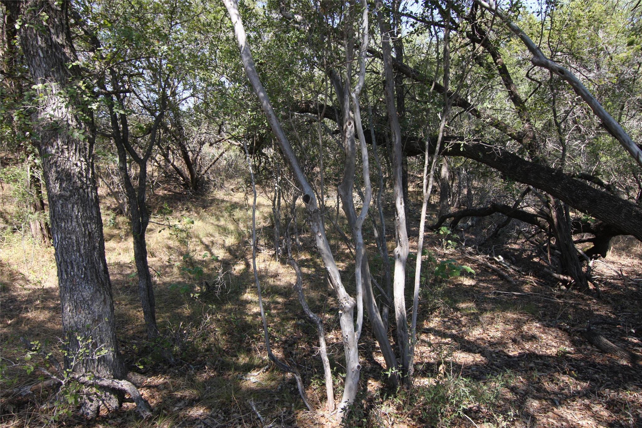 Photo 32