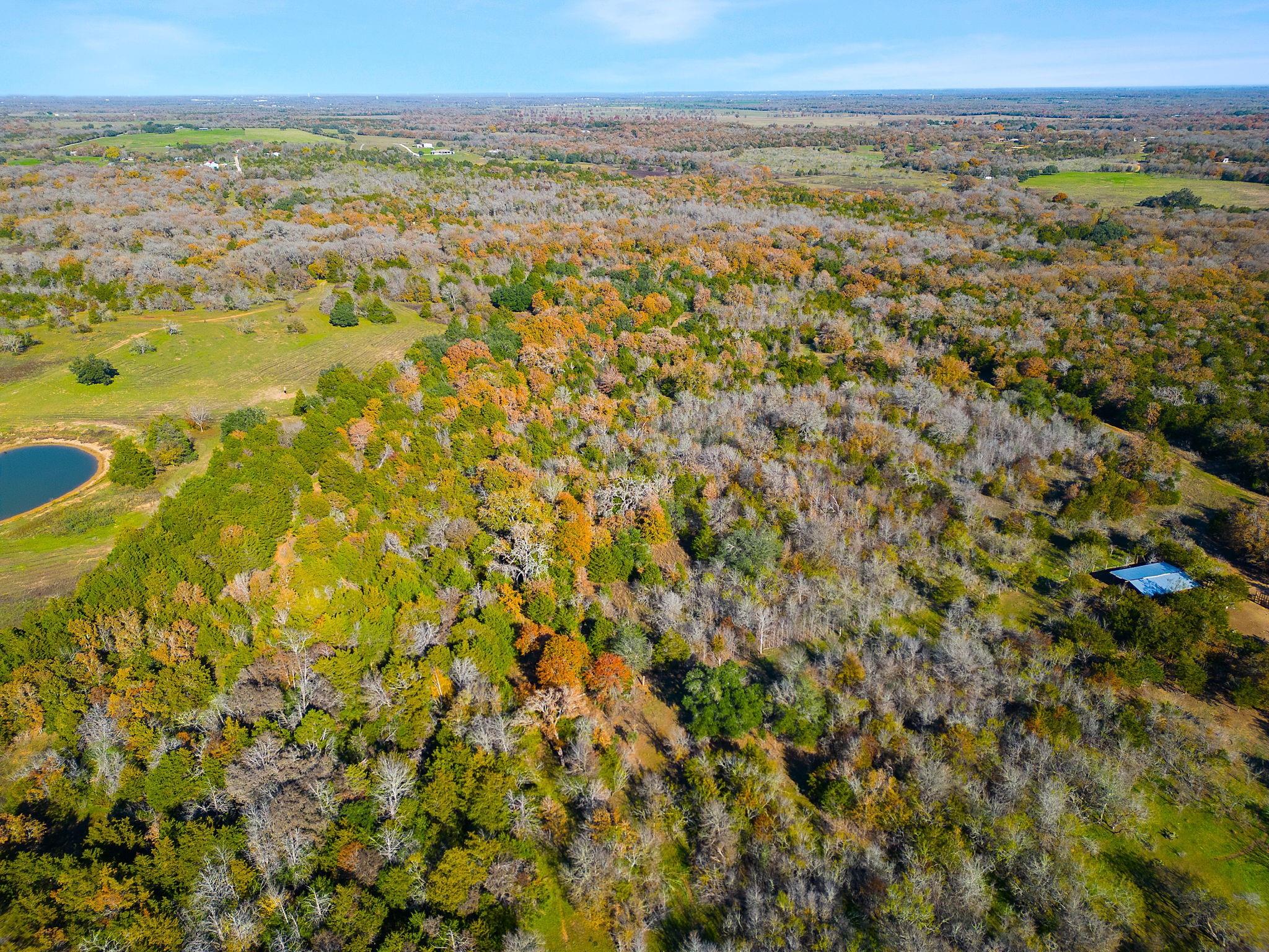 Multiple Lots (Adjacent)