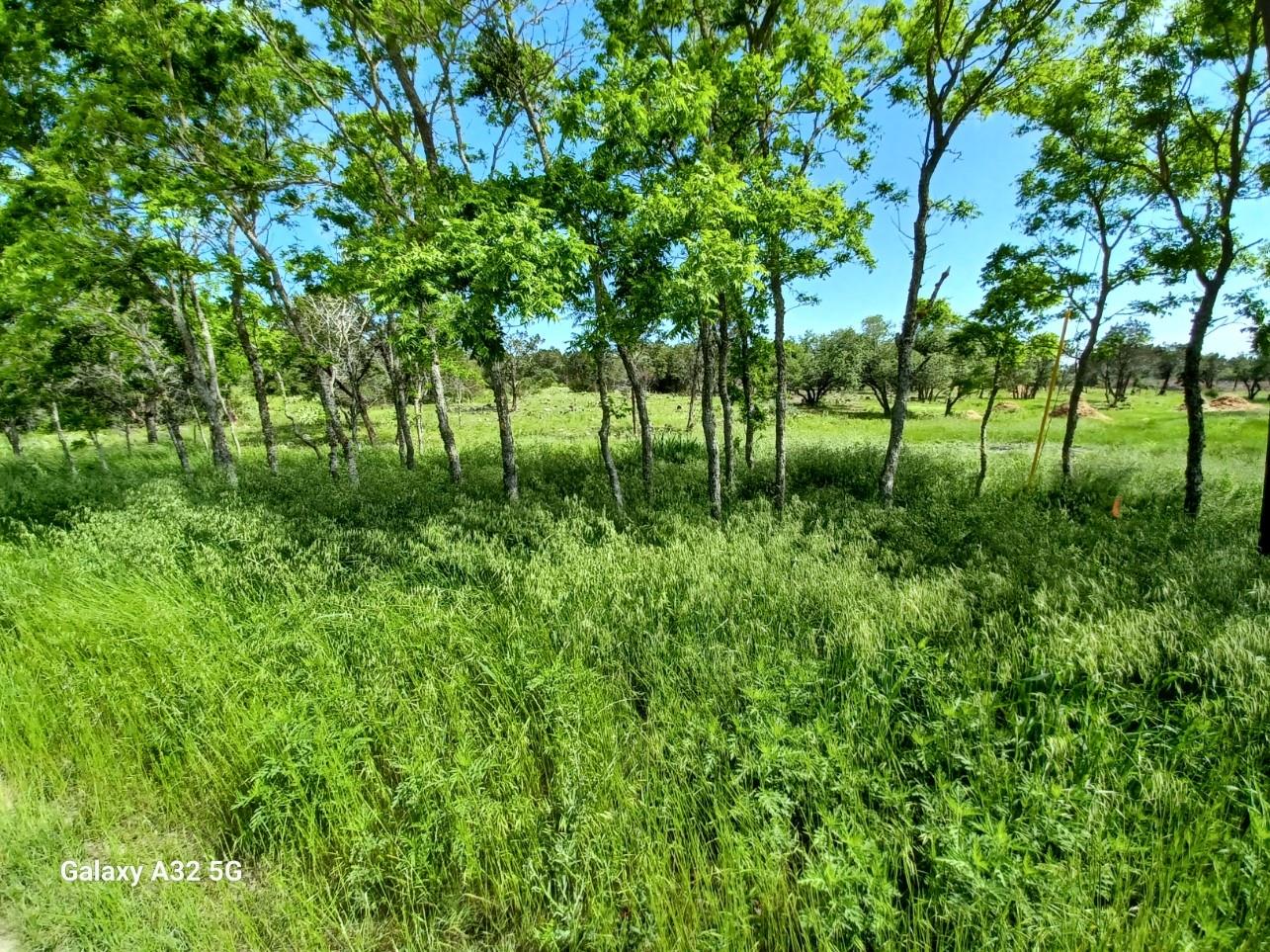 Unimproved Land