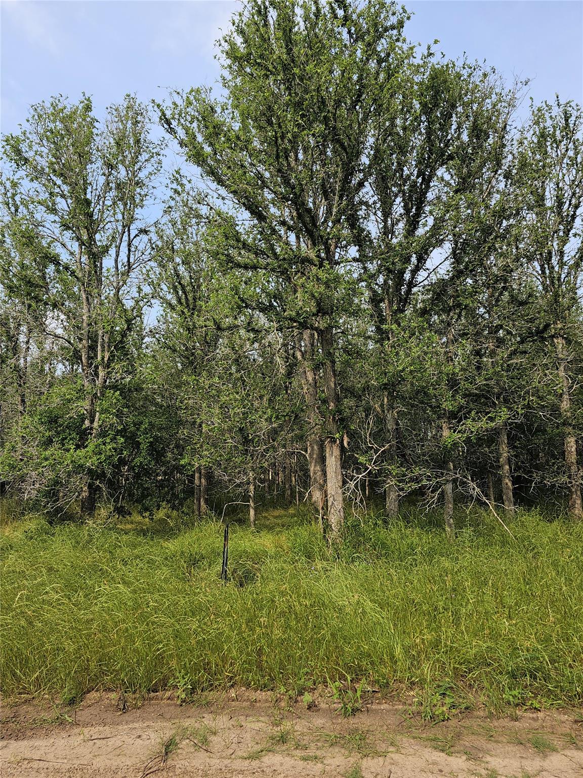 Unimproved Land