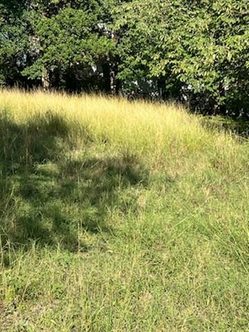 Unimproved Land