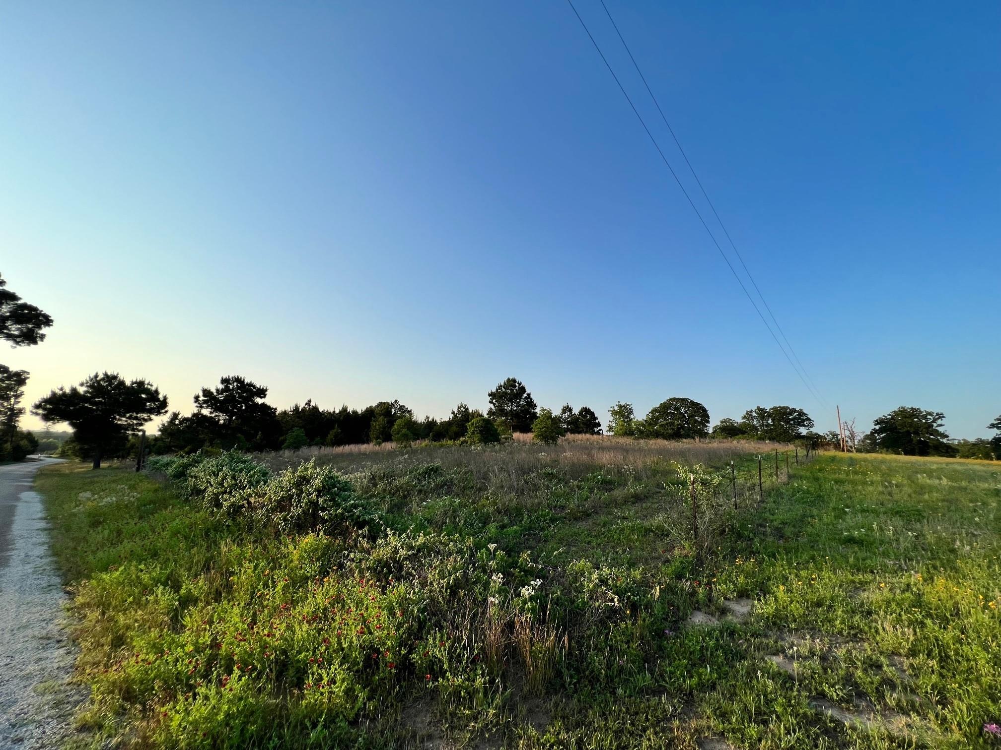 Unimproved Land