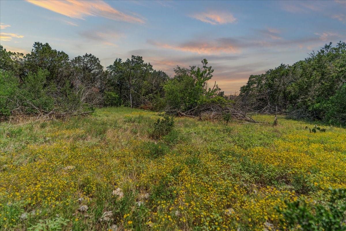 Unimproved Land