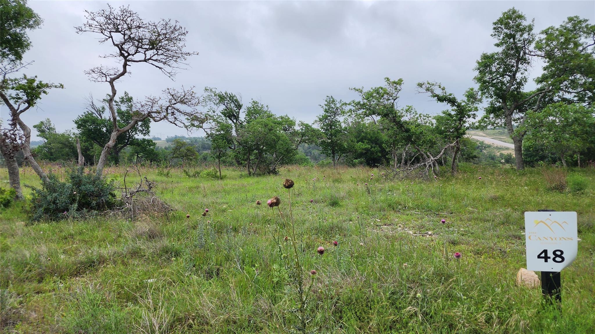Unimproved Land