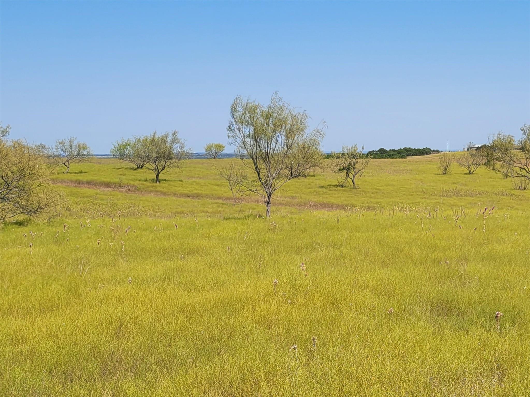 Ranch