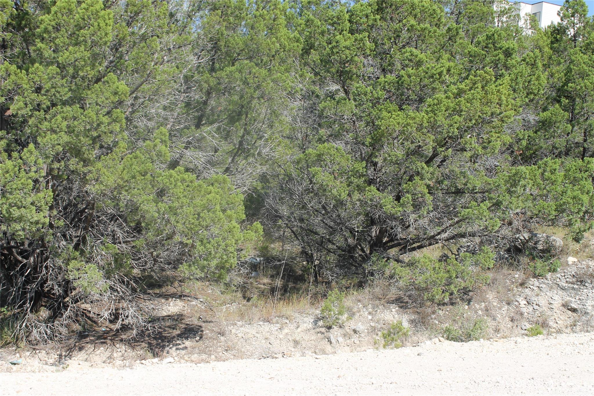 Unimproved Land