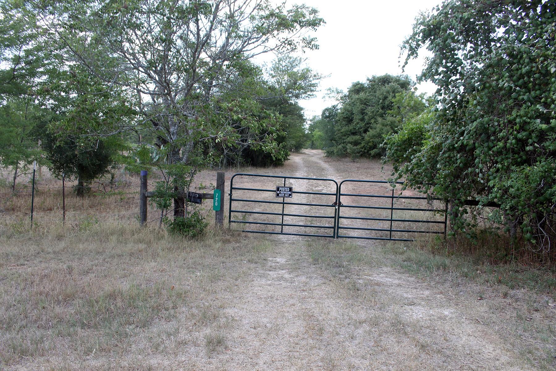 Photo 39