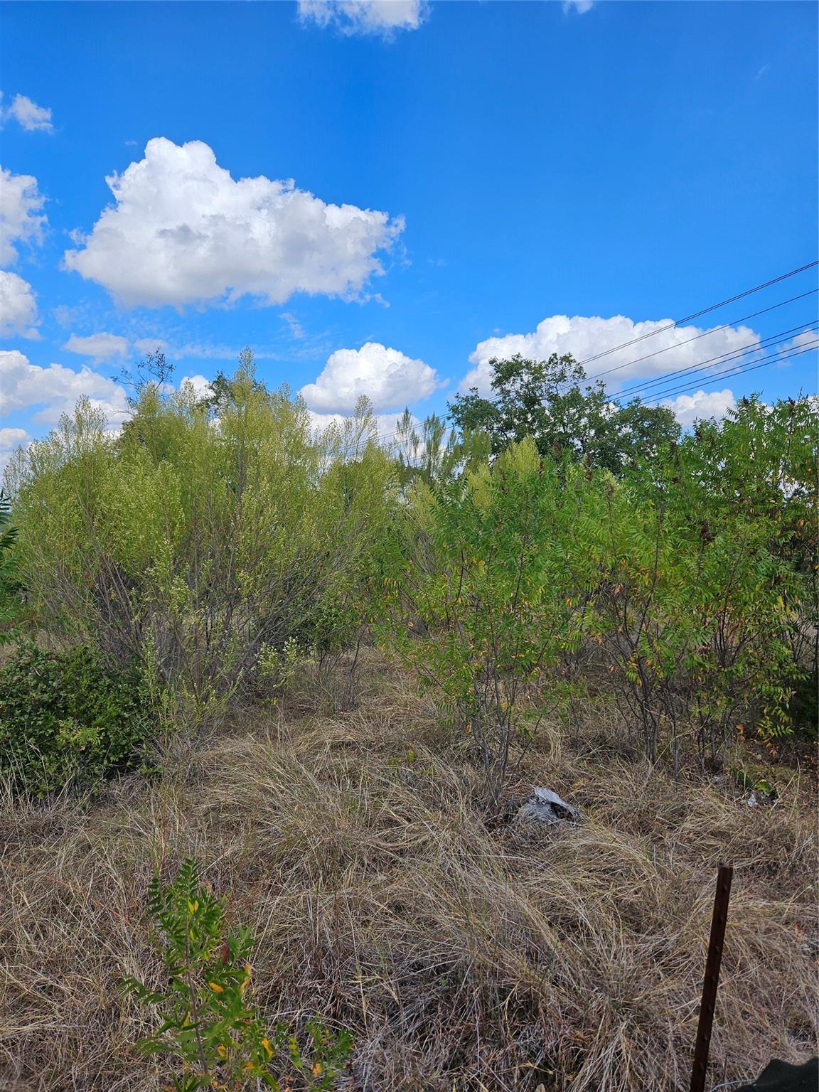 Unimproved Land