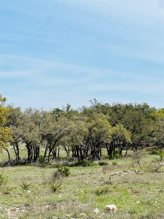 Unimproved Land