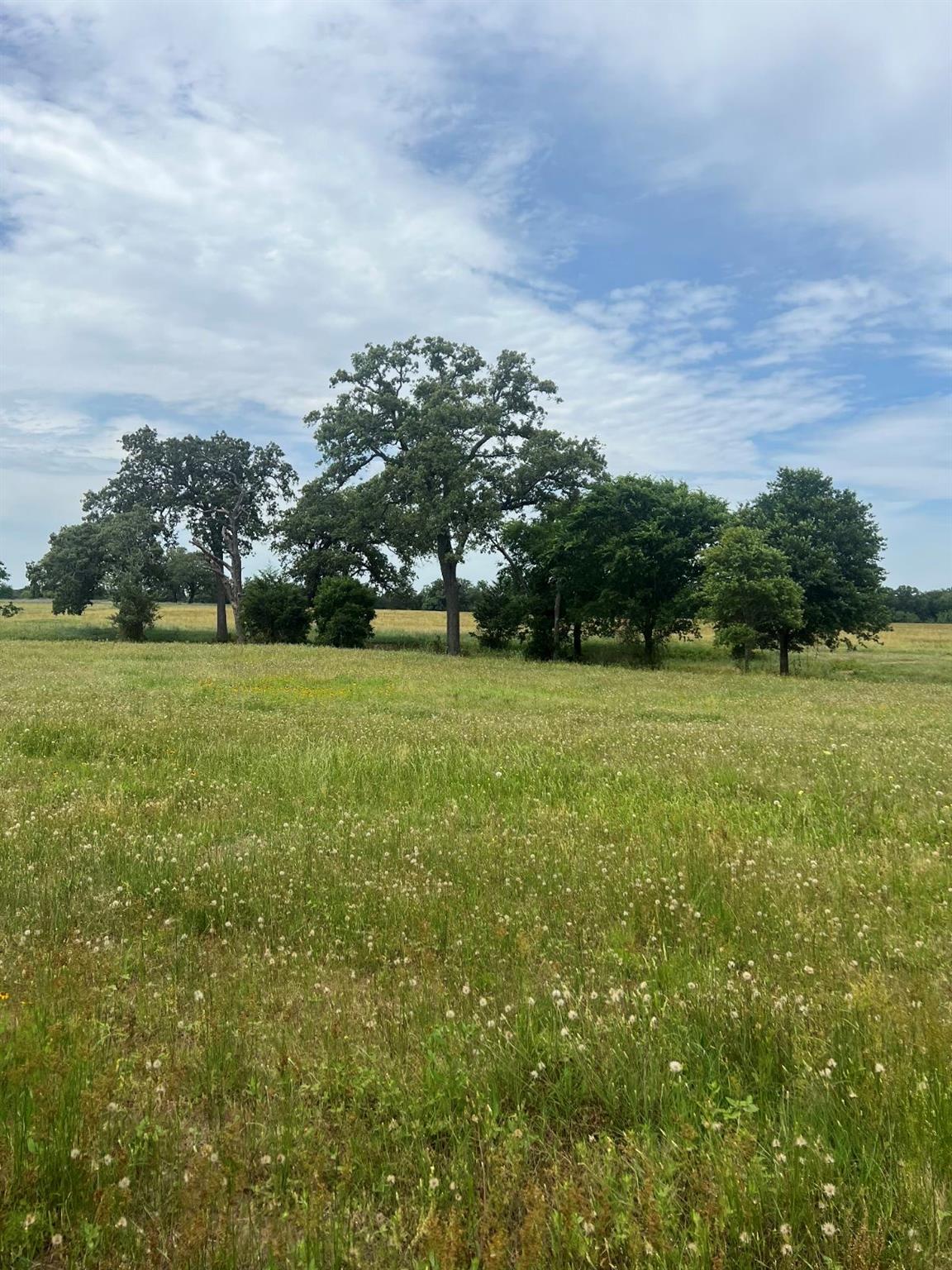 Unimproved Land