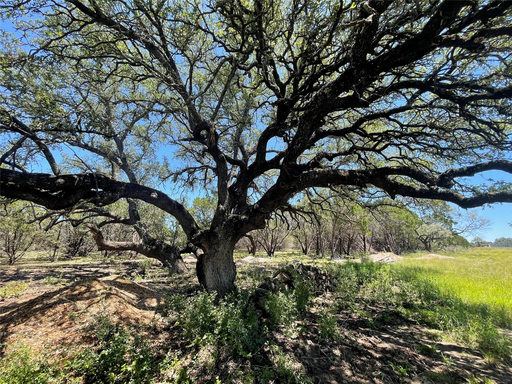 Lot 65 Estate View Circle