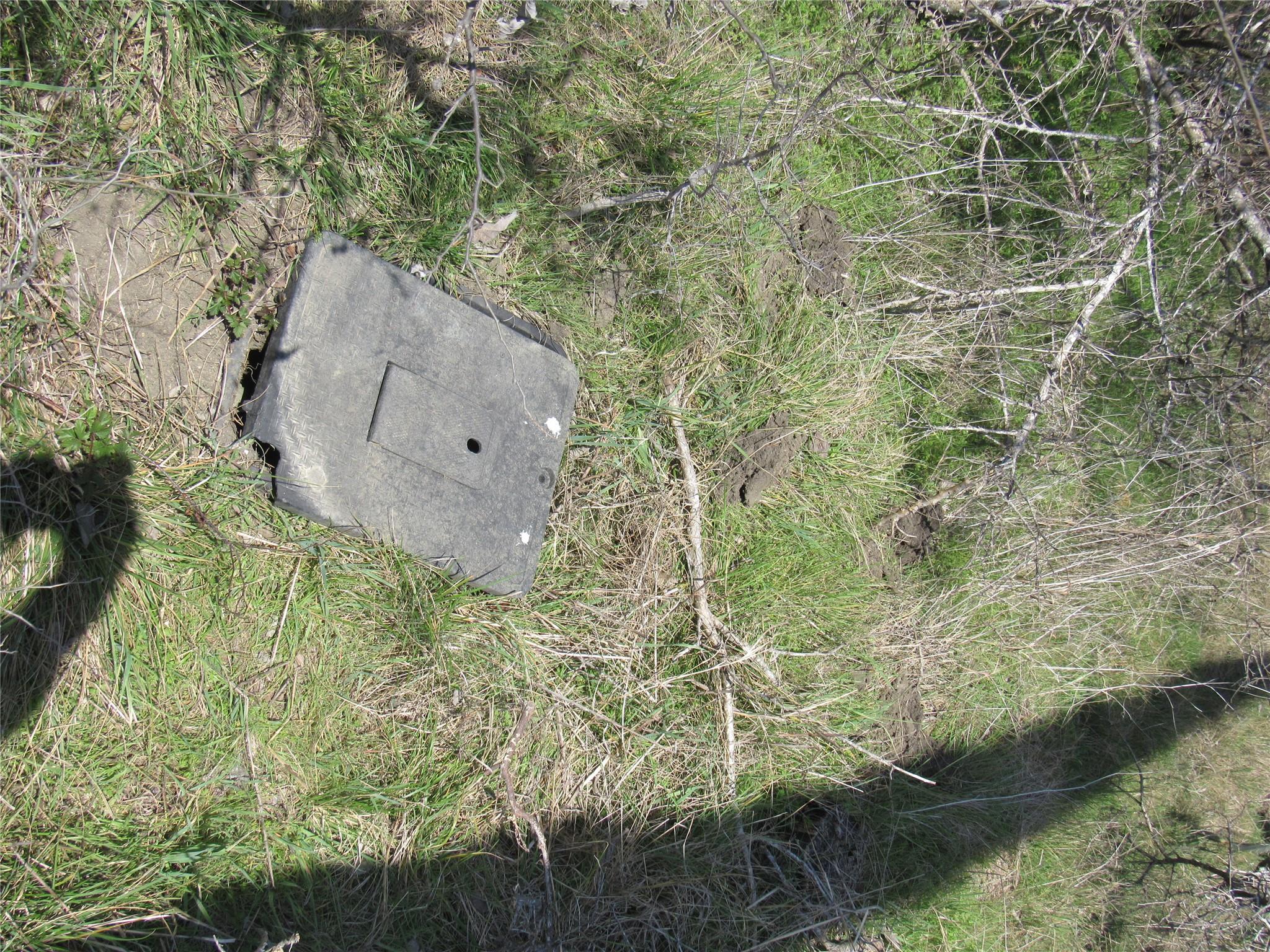 Photo 11