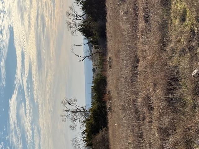 Unimproved Land