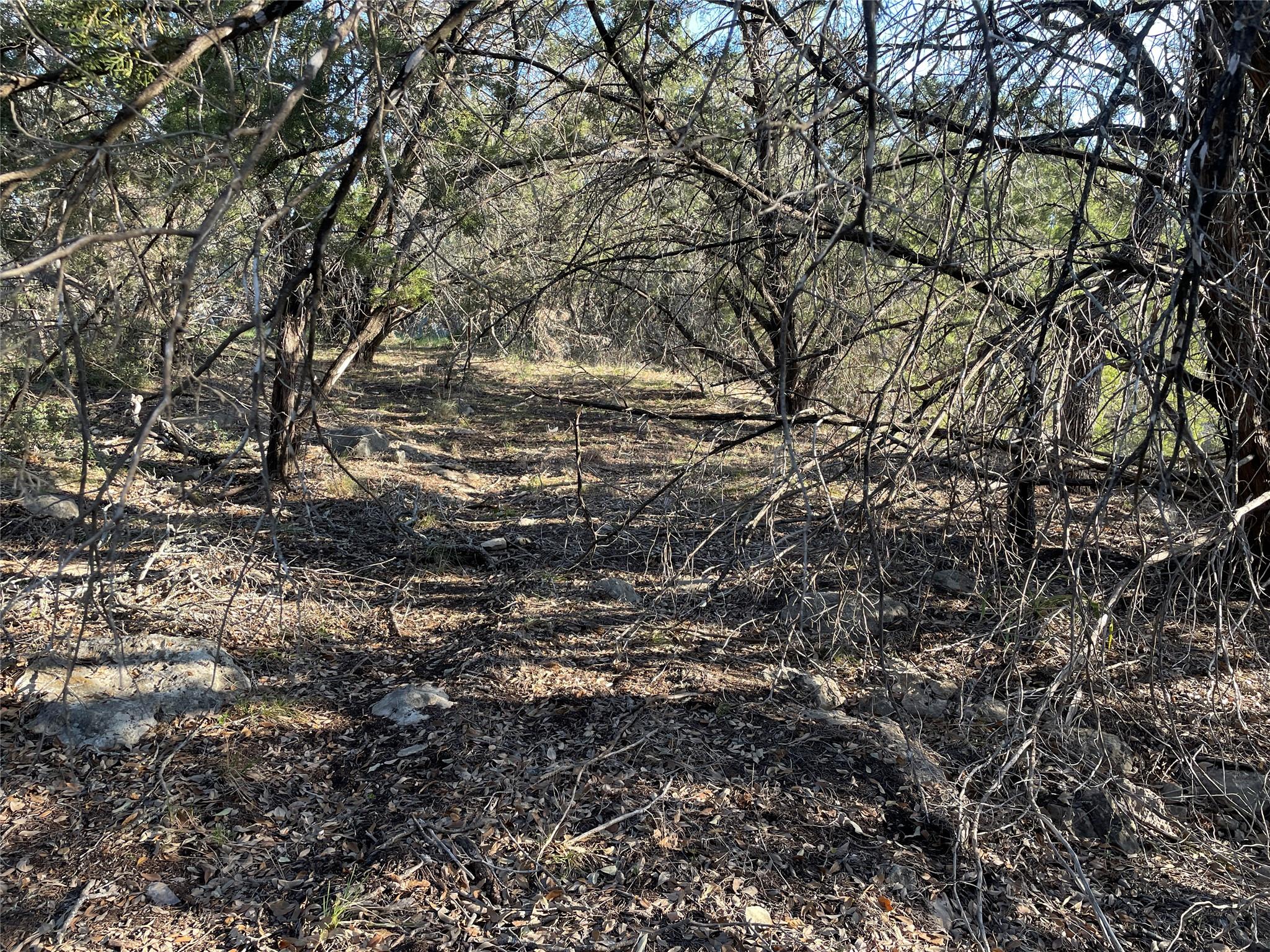 Unimproved Land