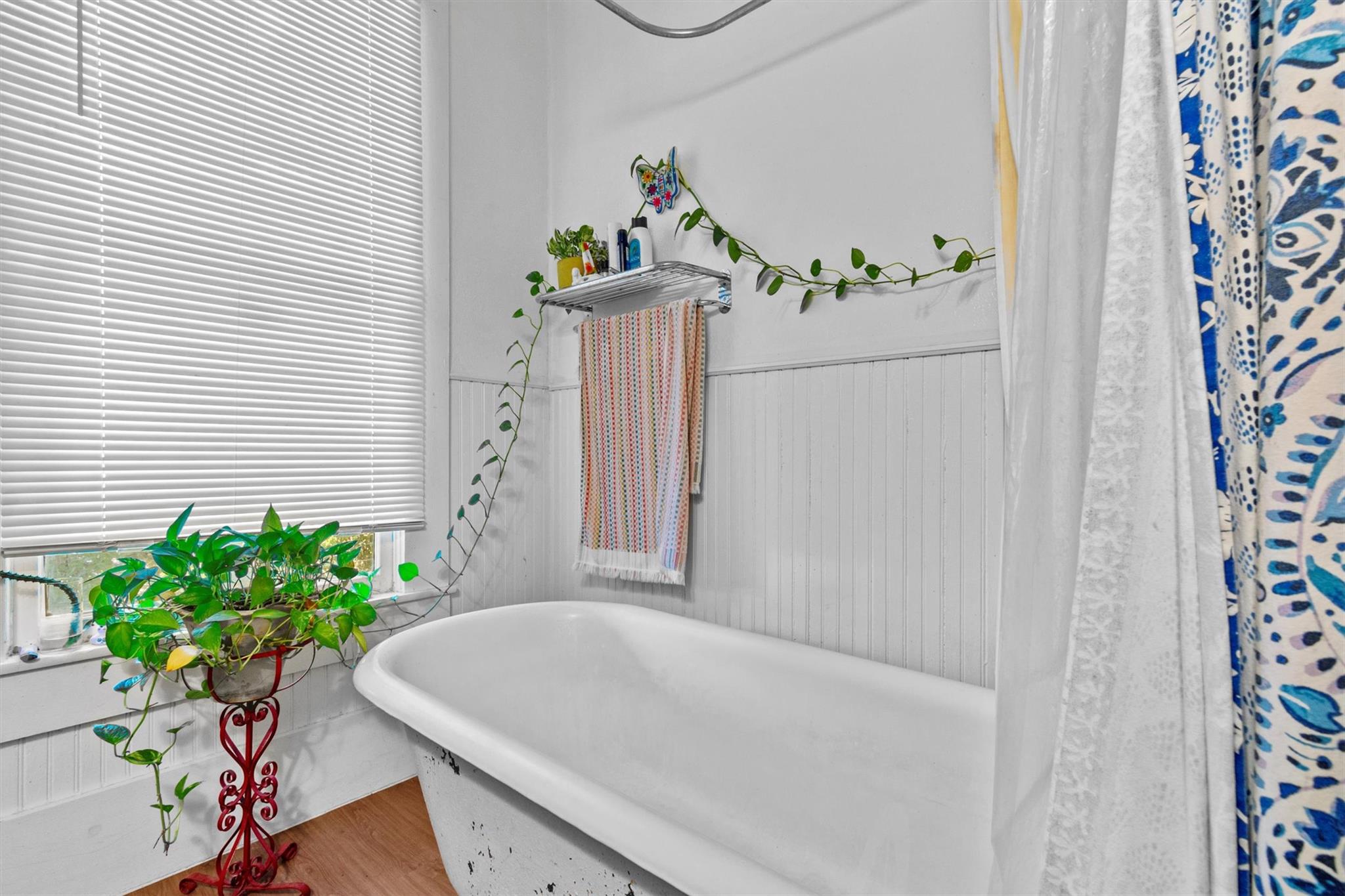 Photo 22