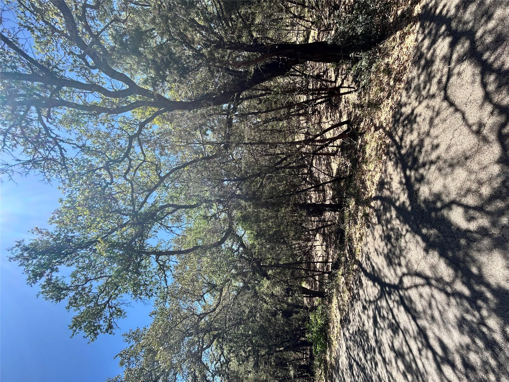 Unimproved Land