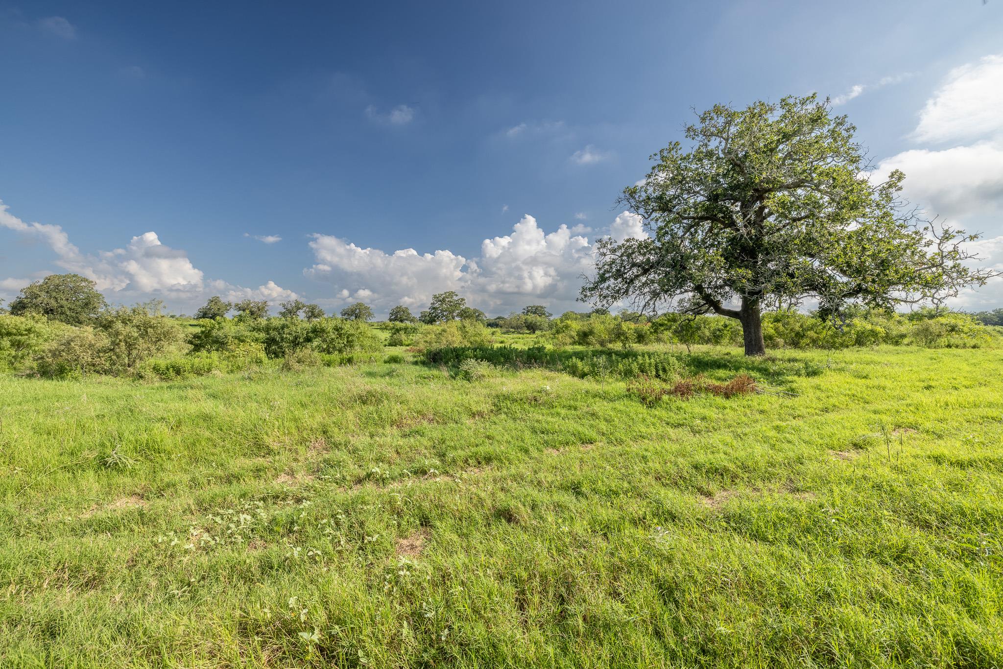 Unimproved Land