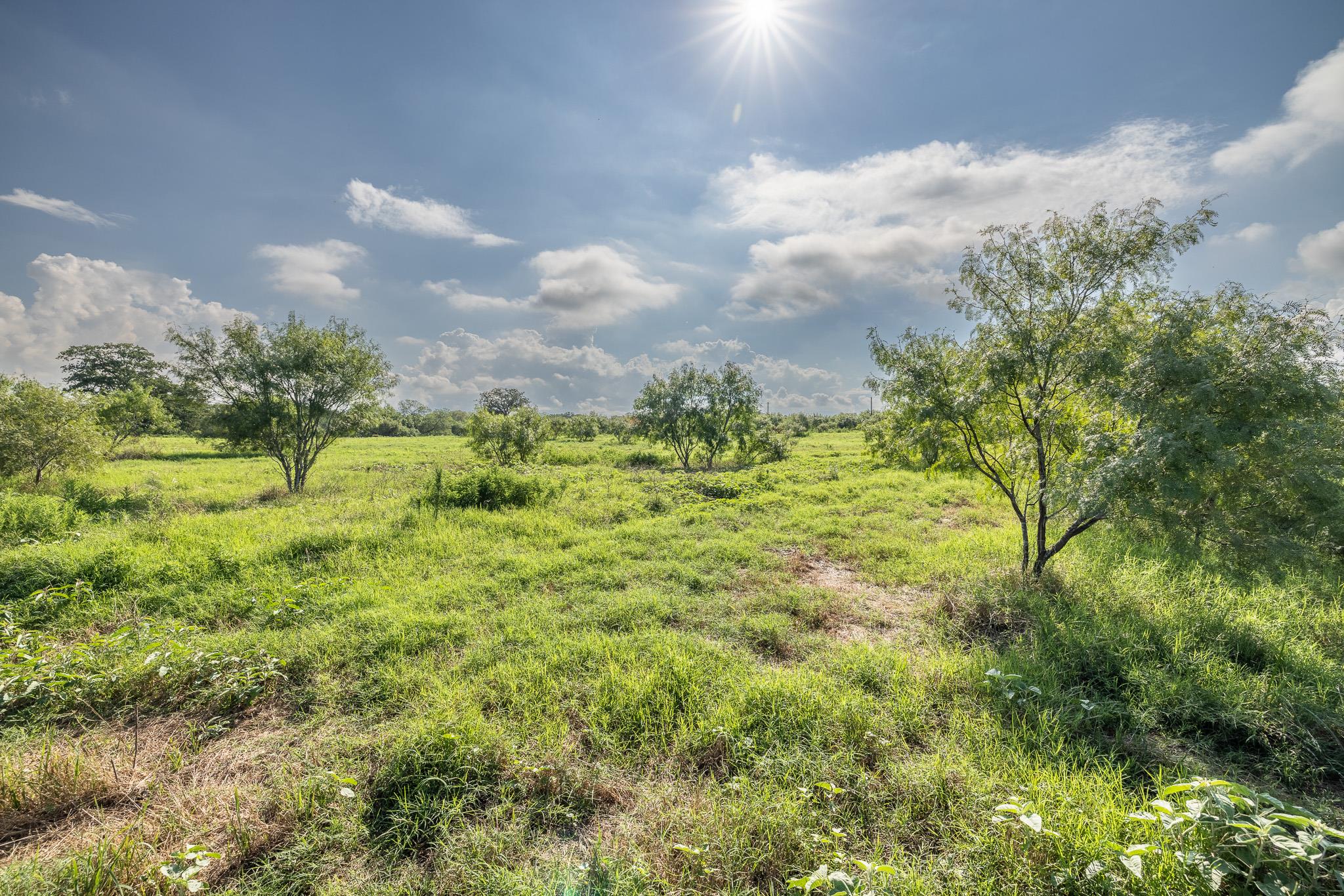 Unimproved Land