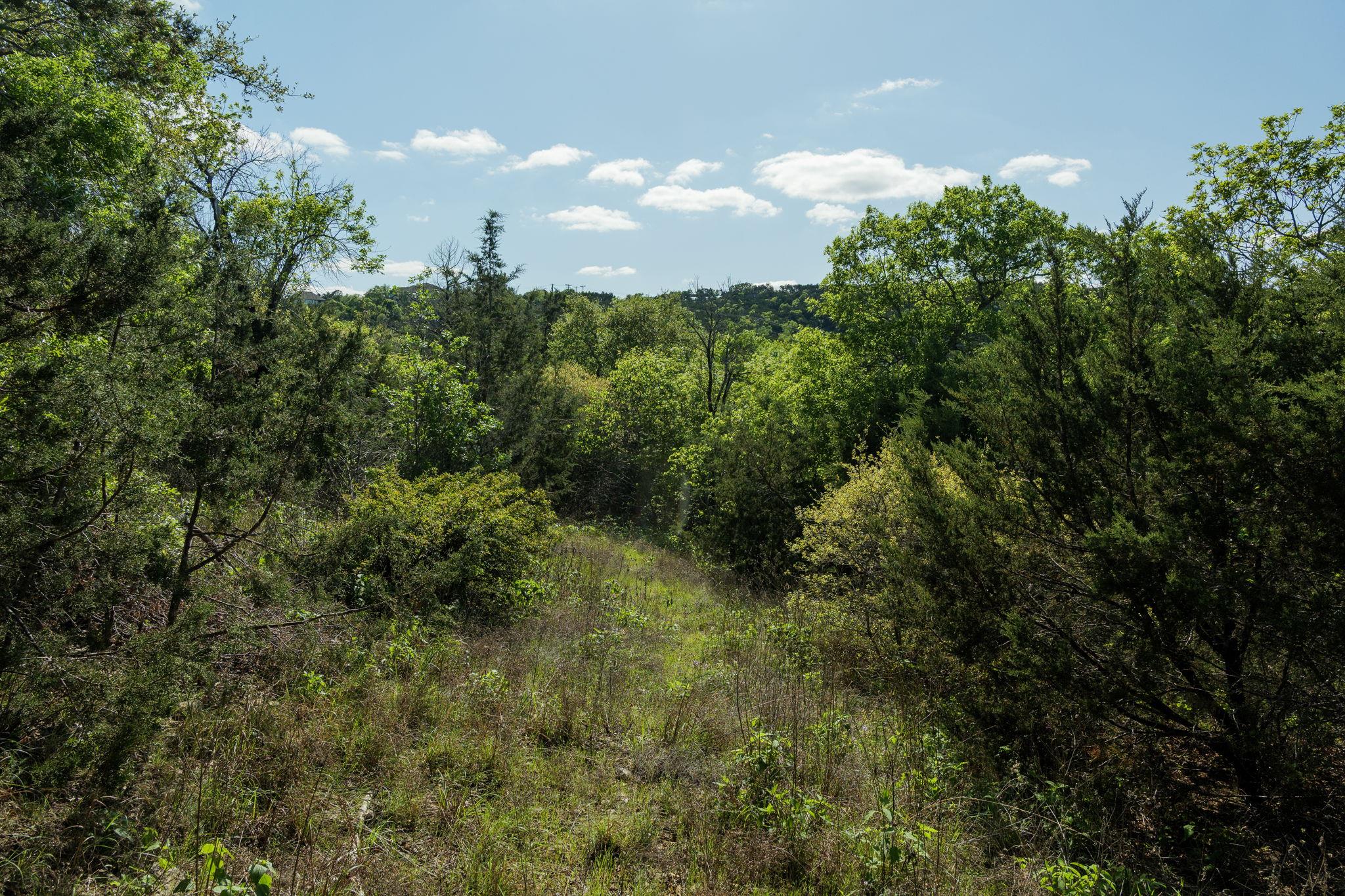 Photo 30