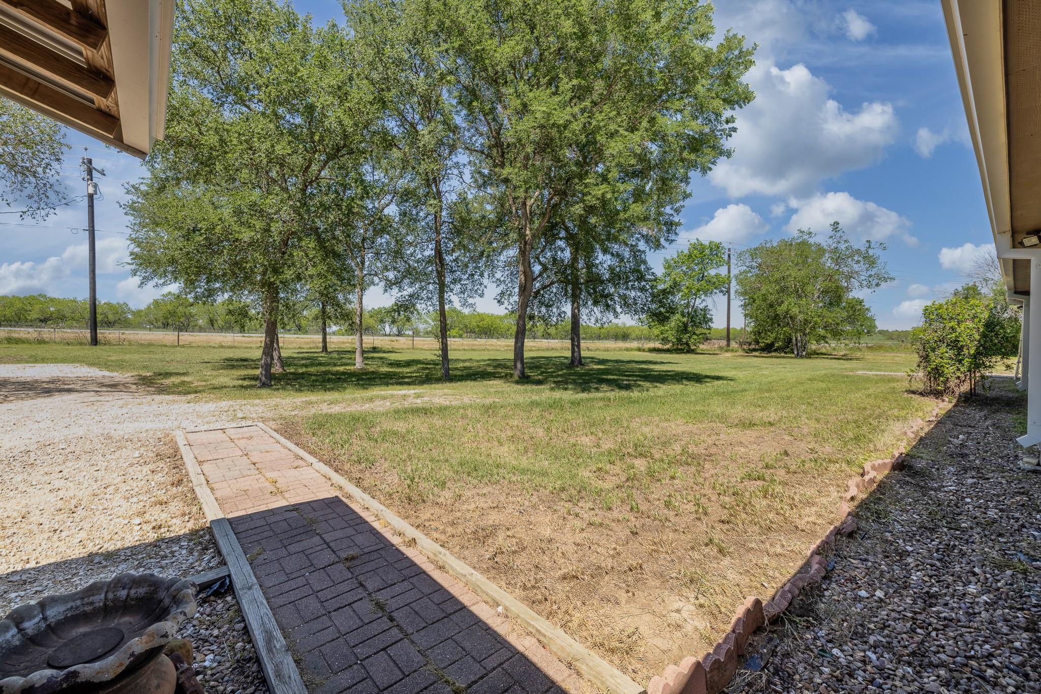 Photo 31