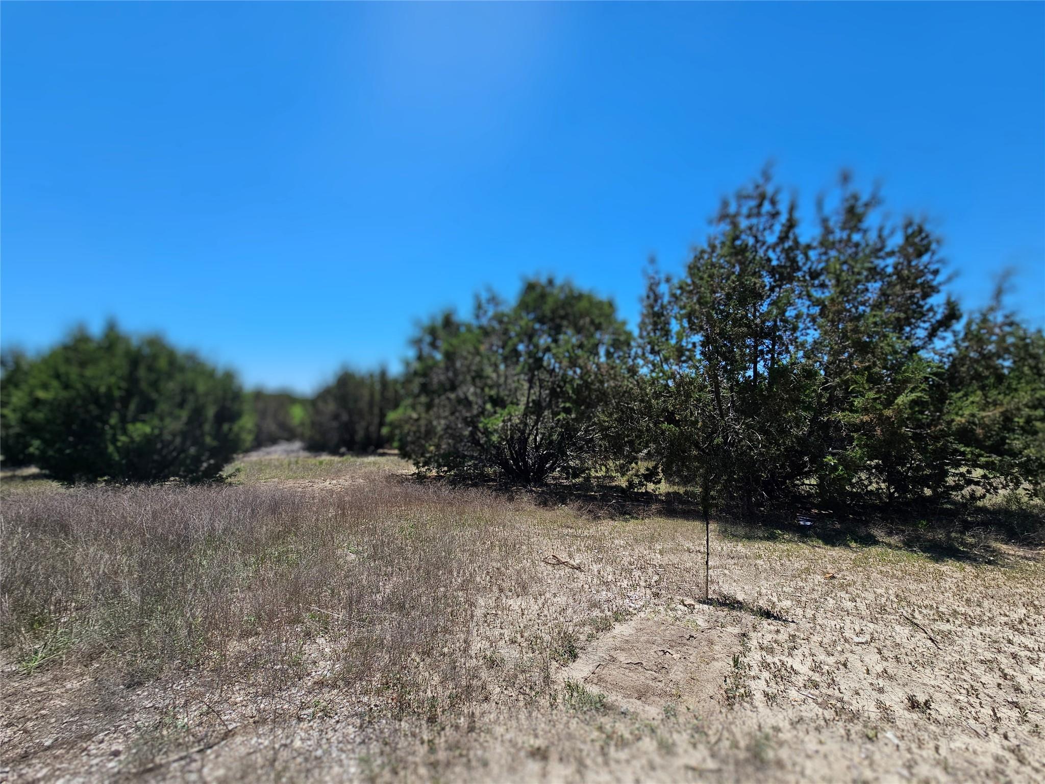 Unimproved Land
