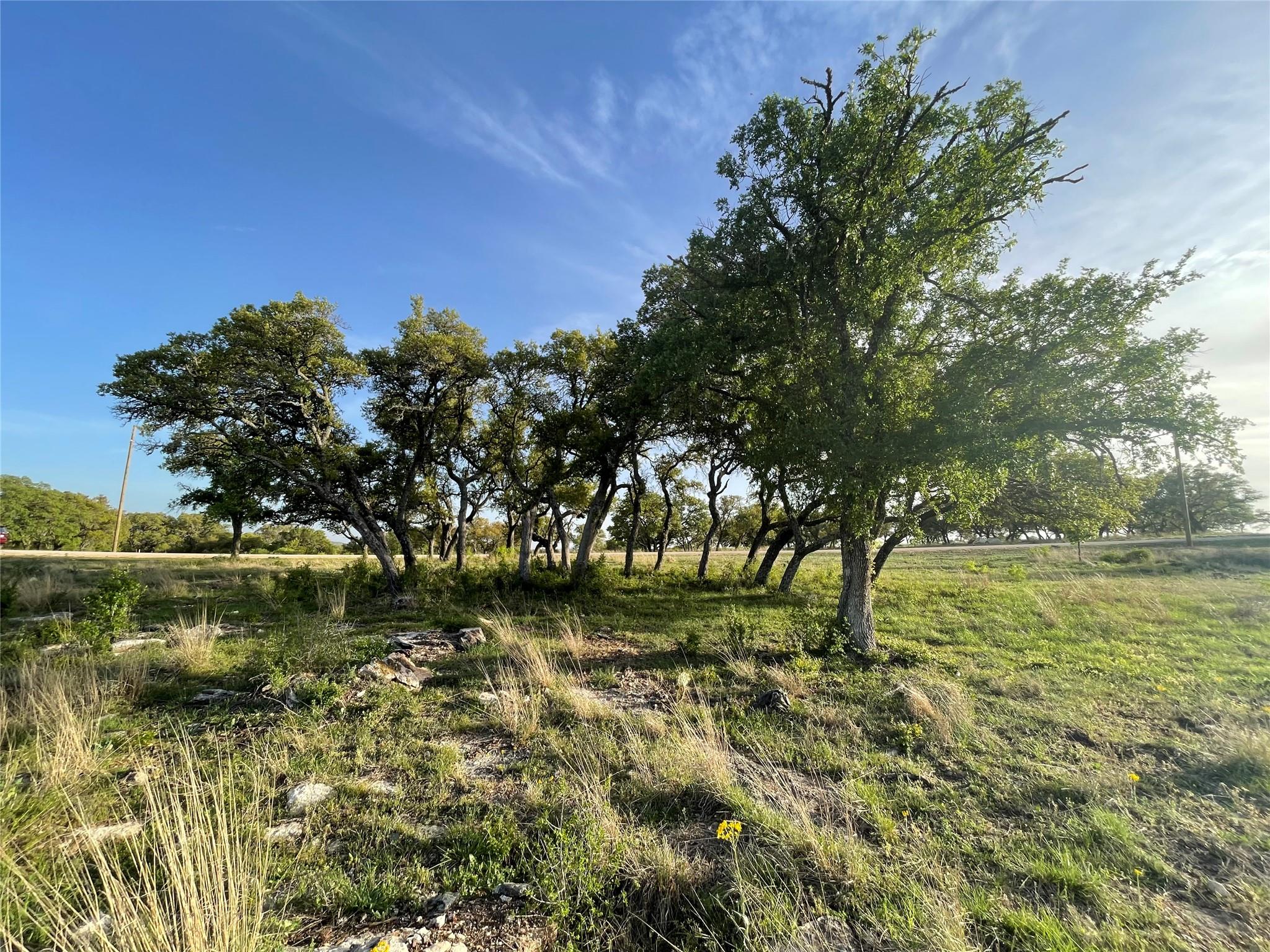 Unimproved Land