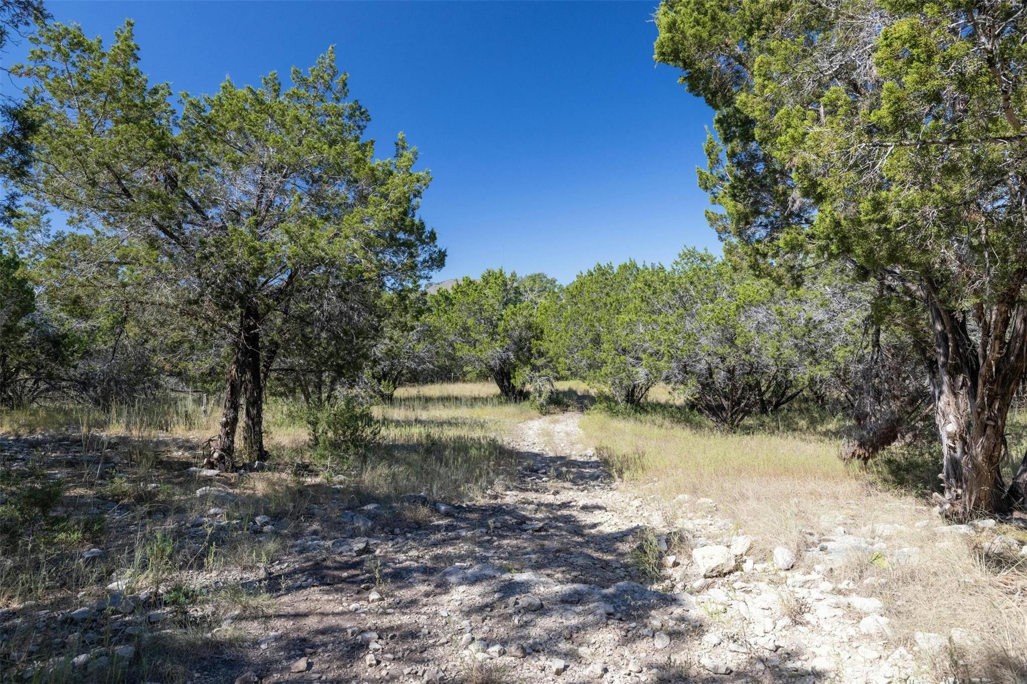 Unimproved Land