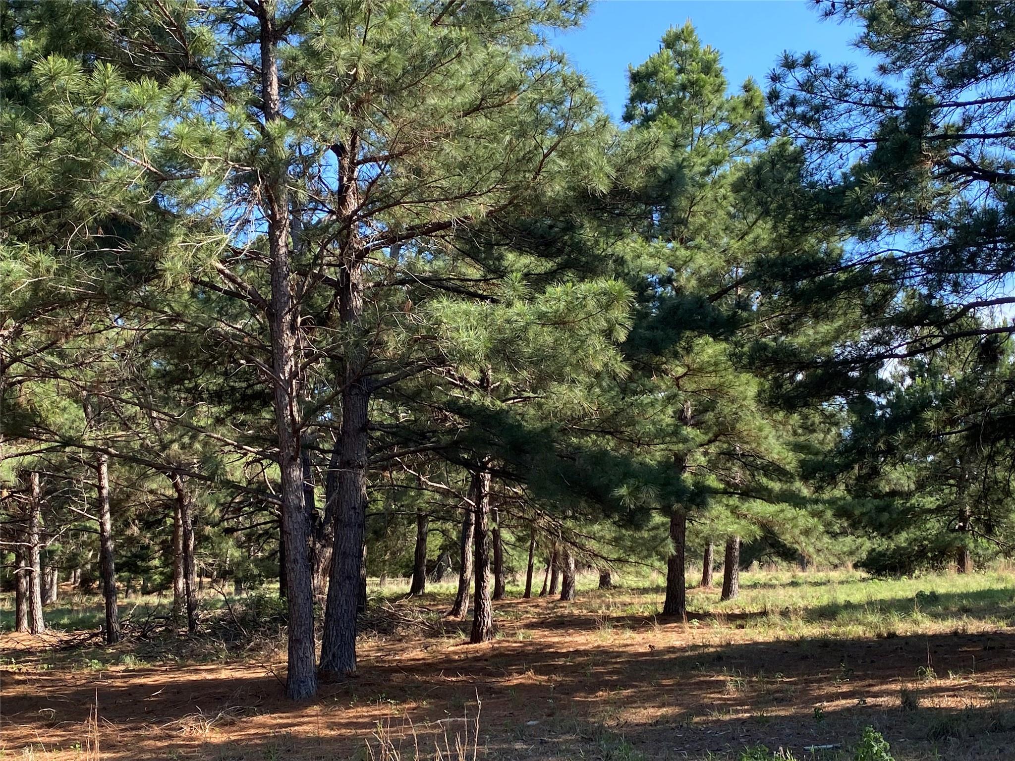 Unimproved Land