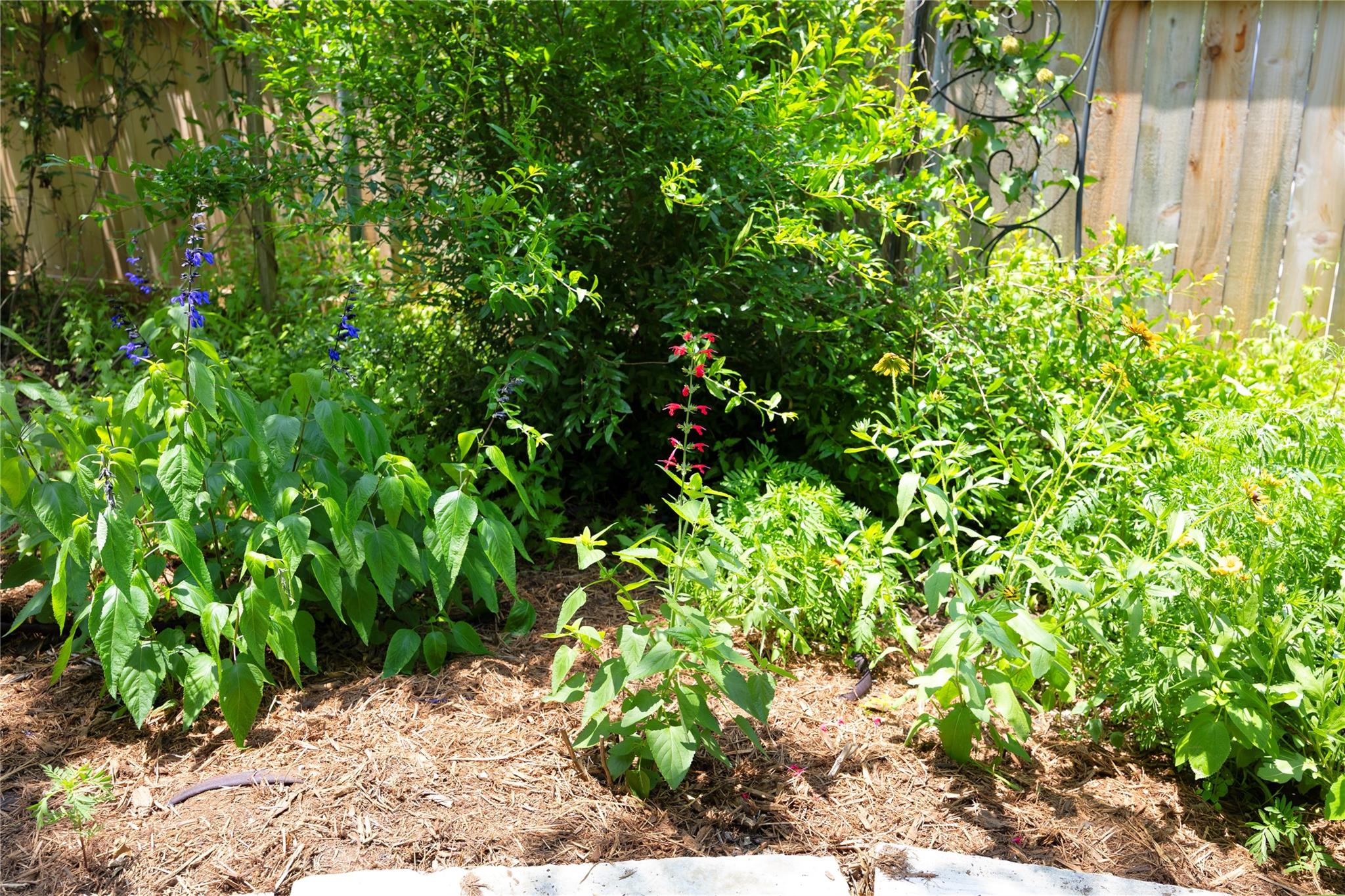Photo 35