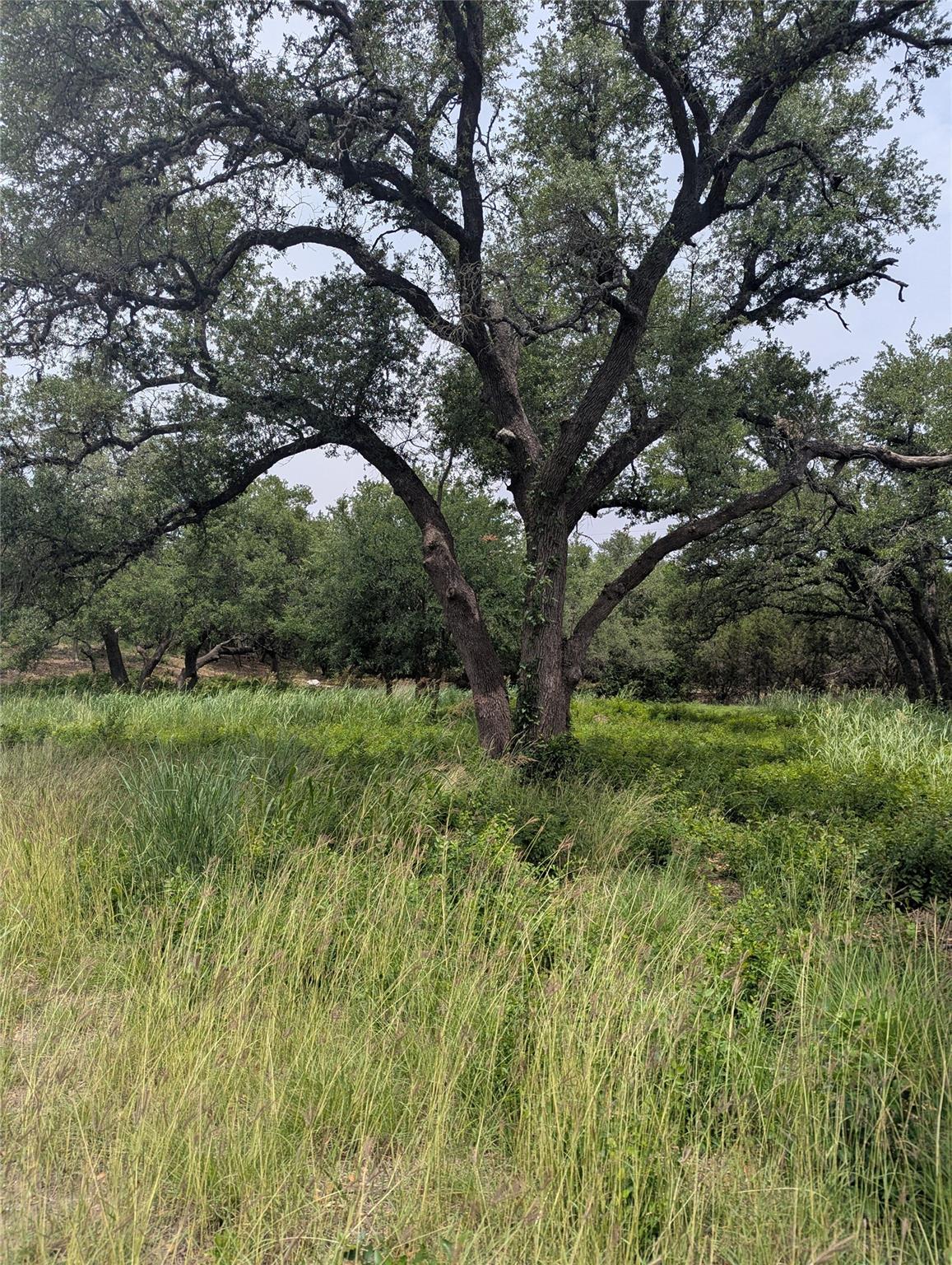 Unimproved Land