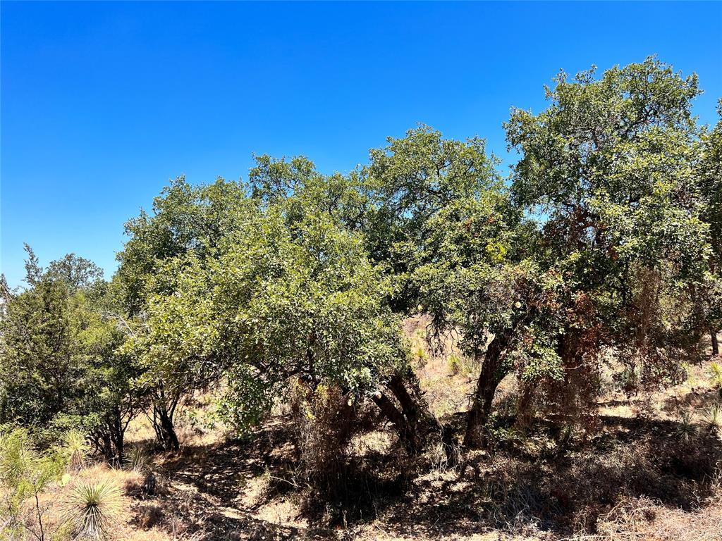 Lots 320-323 TBD W. Castlebriar