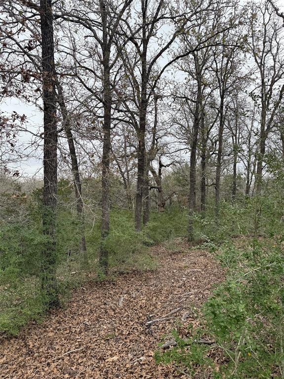 Multiple Lots (Adjacent)