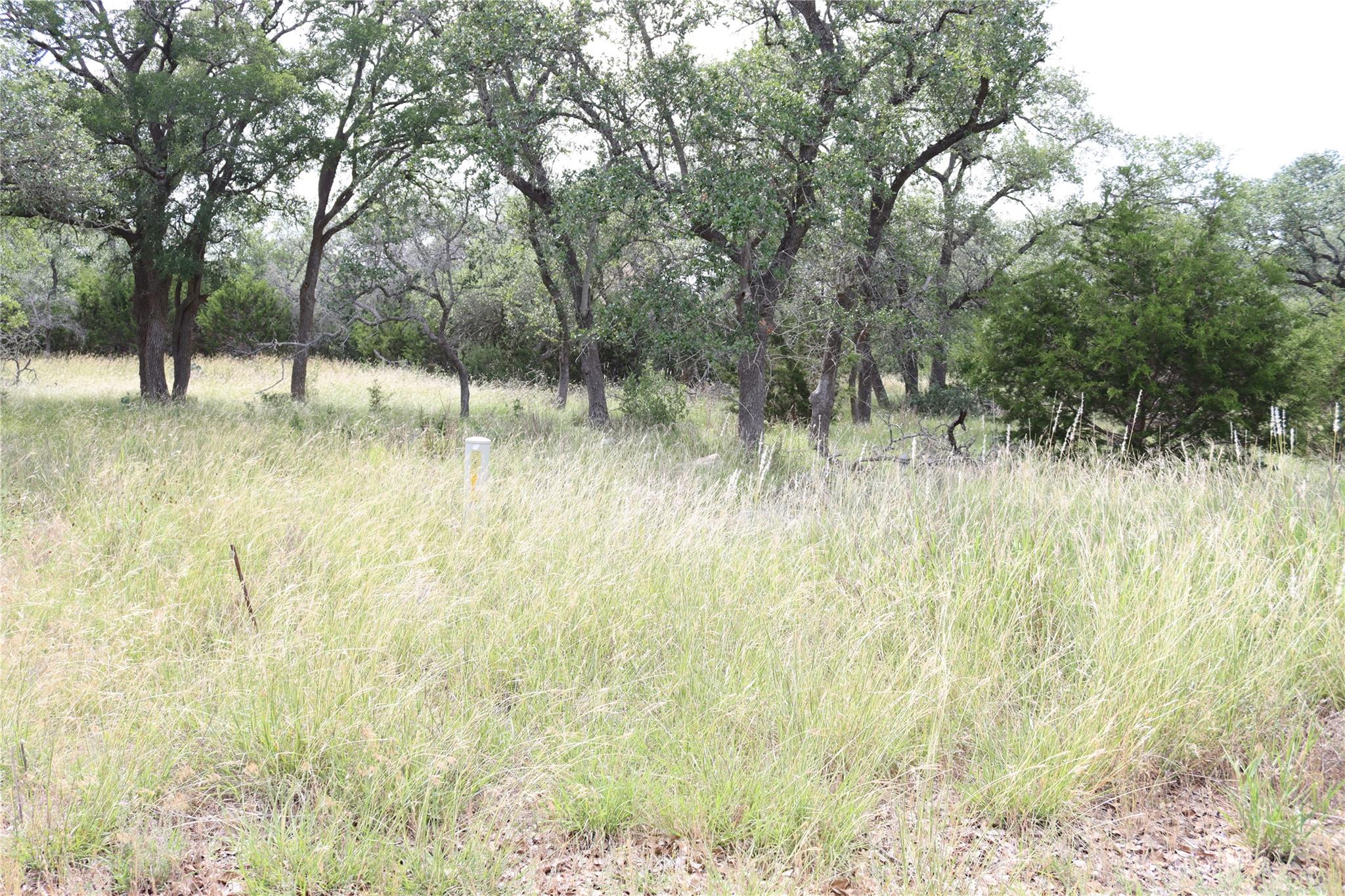 Unimproved Land