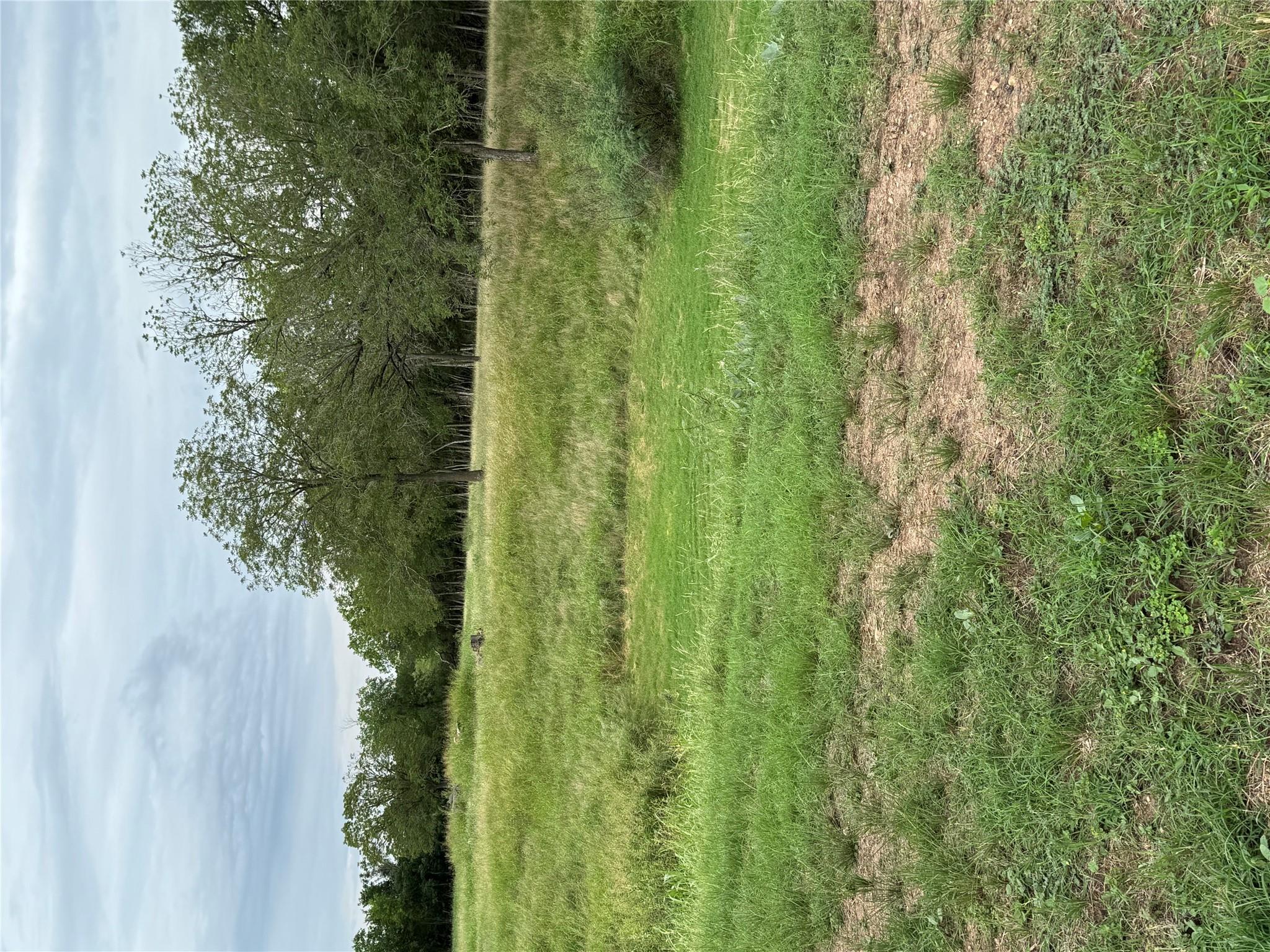 Photo 32