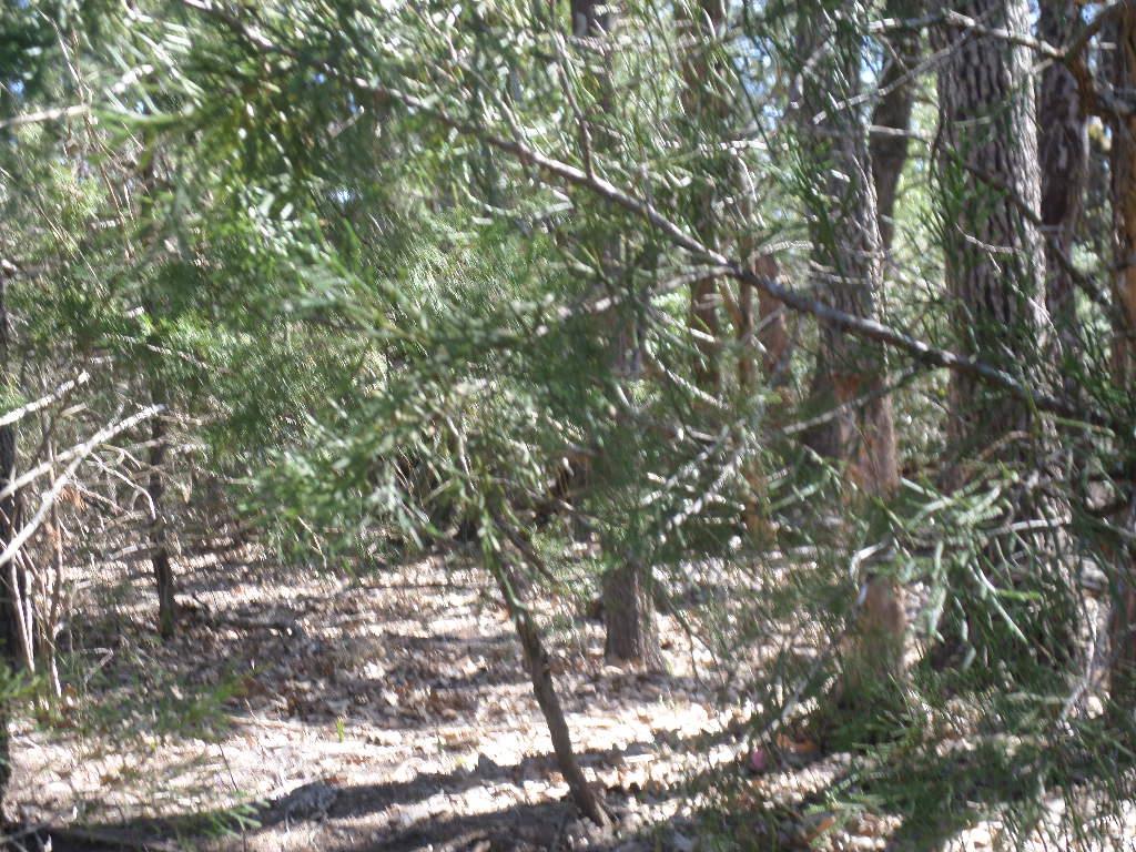 Photo 24