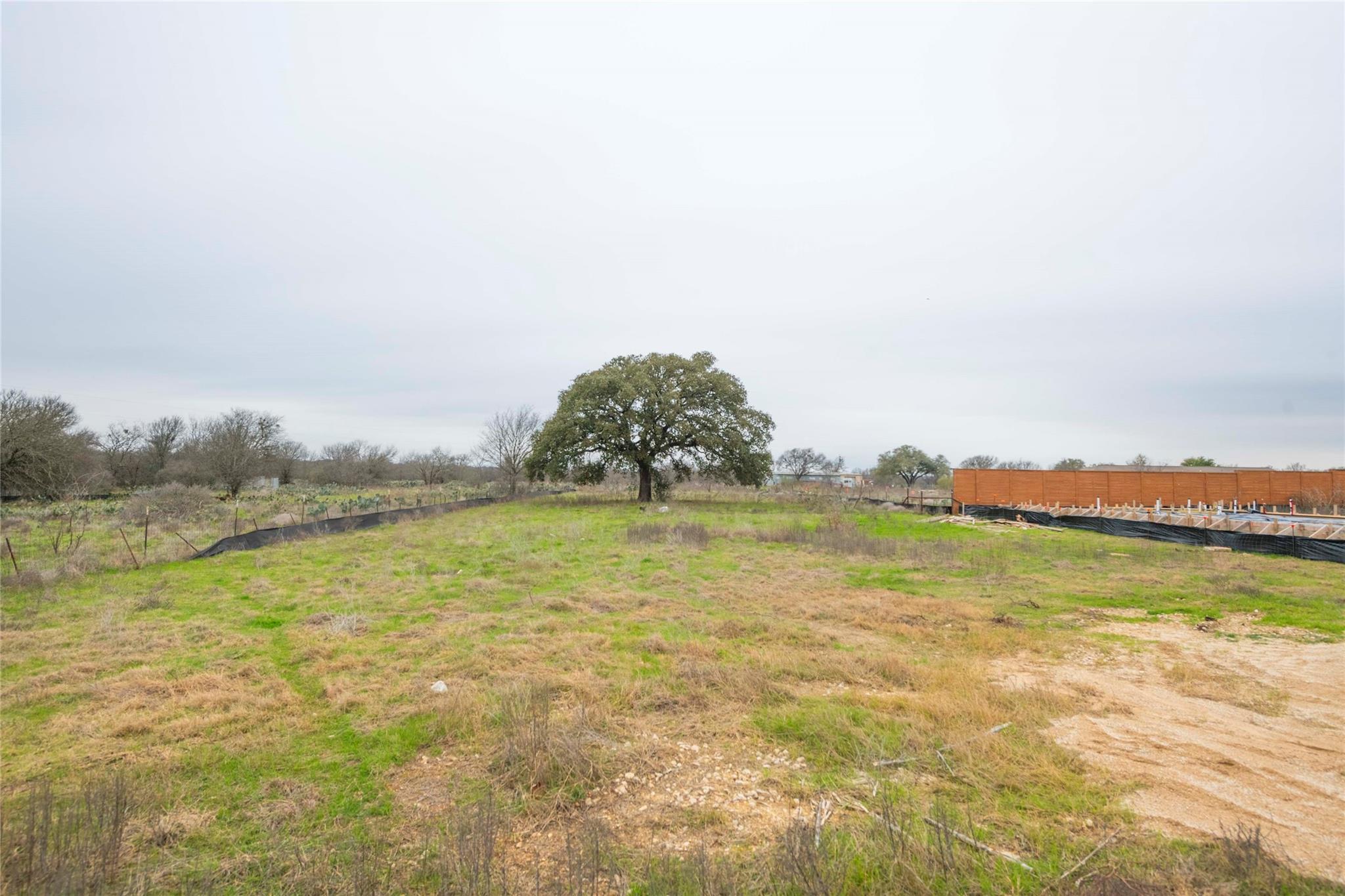 312 Monterey Oak