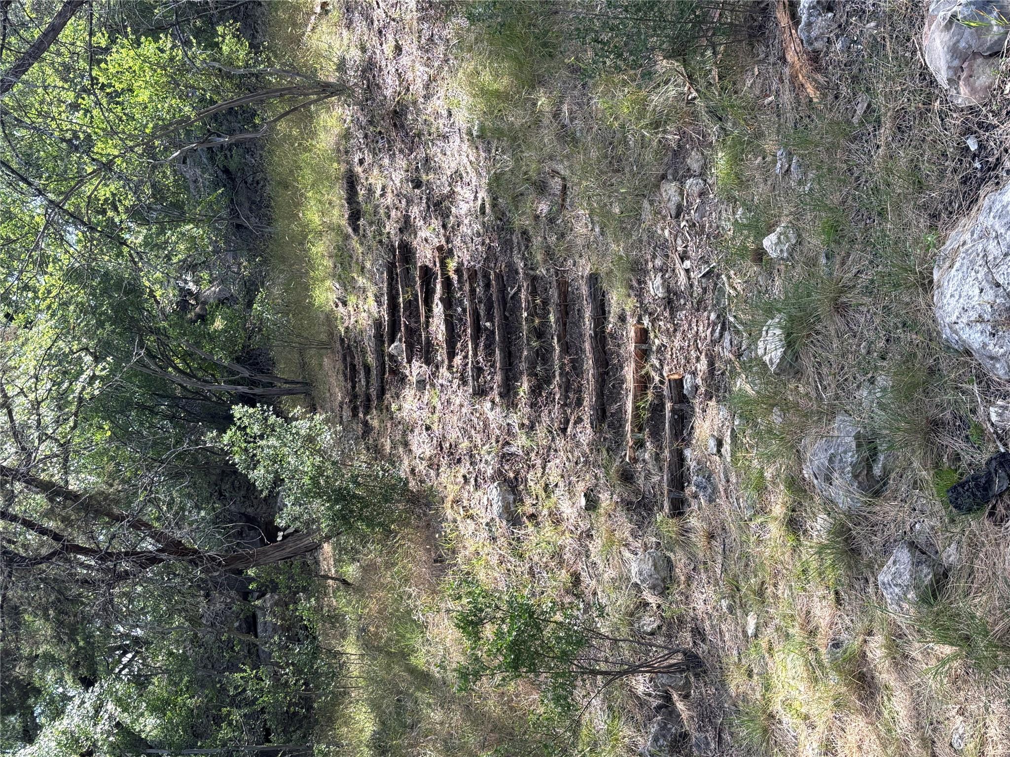 Photo 37