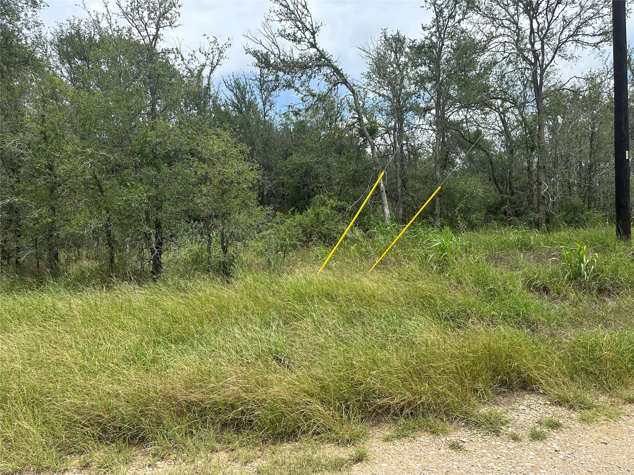 Unimproved Land