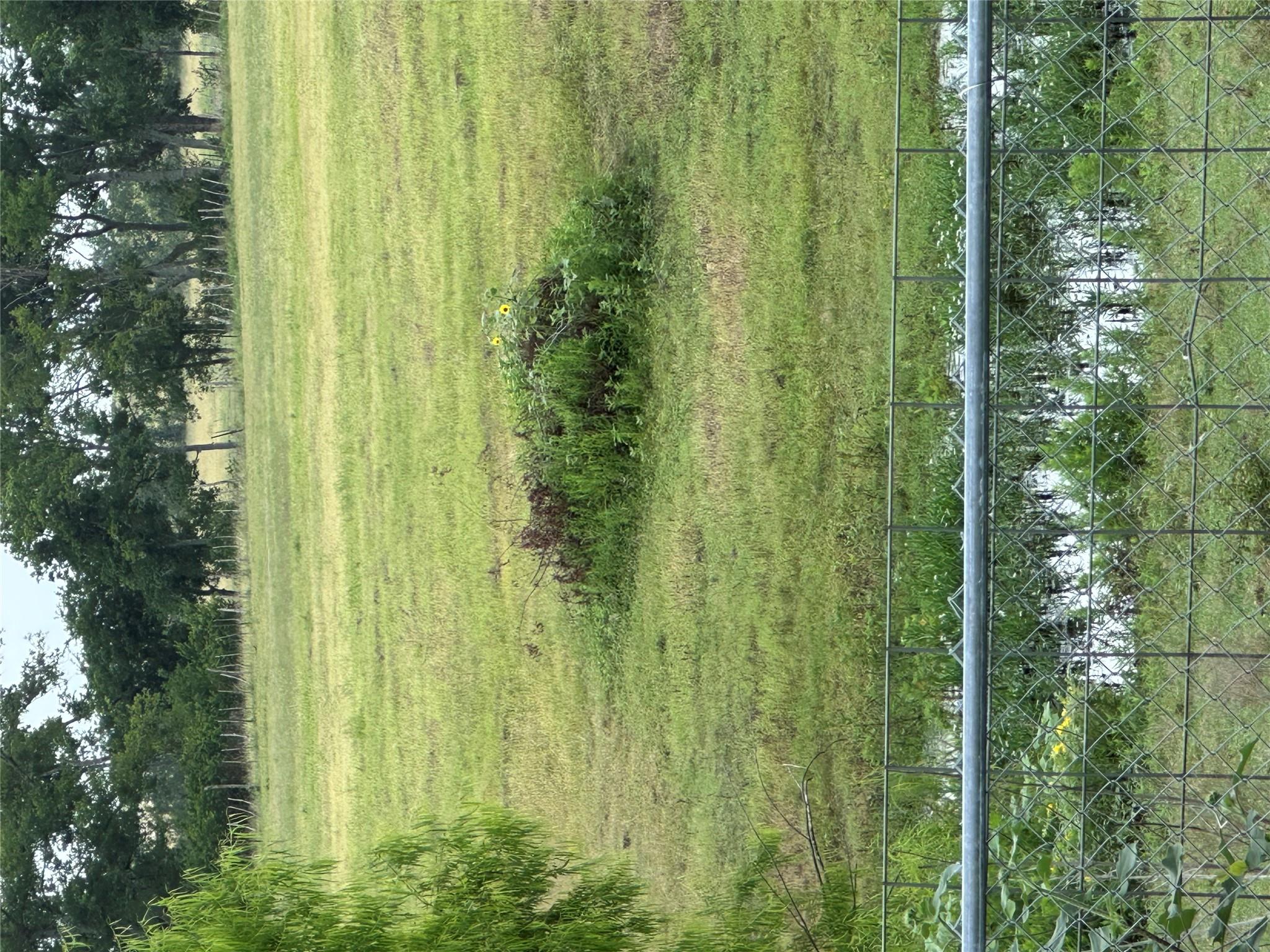Photo 35