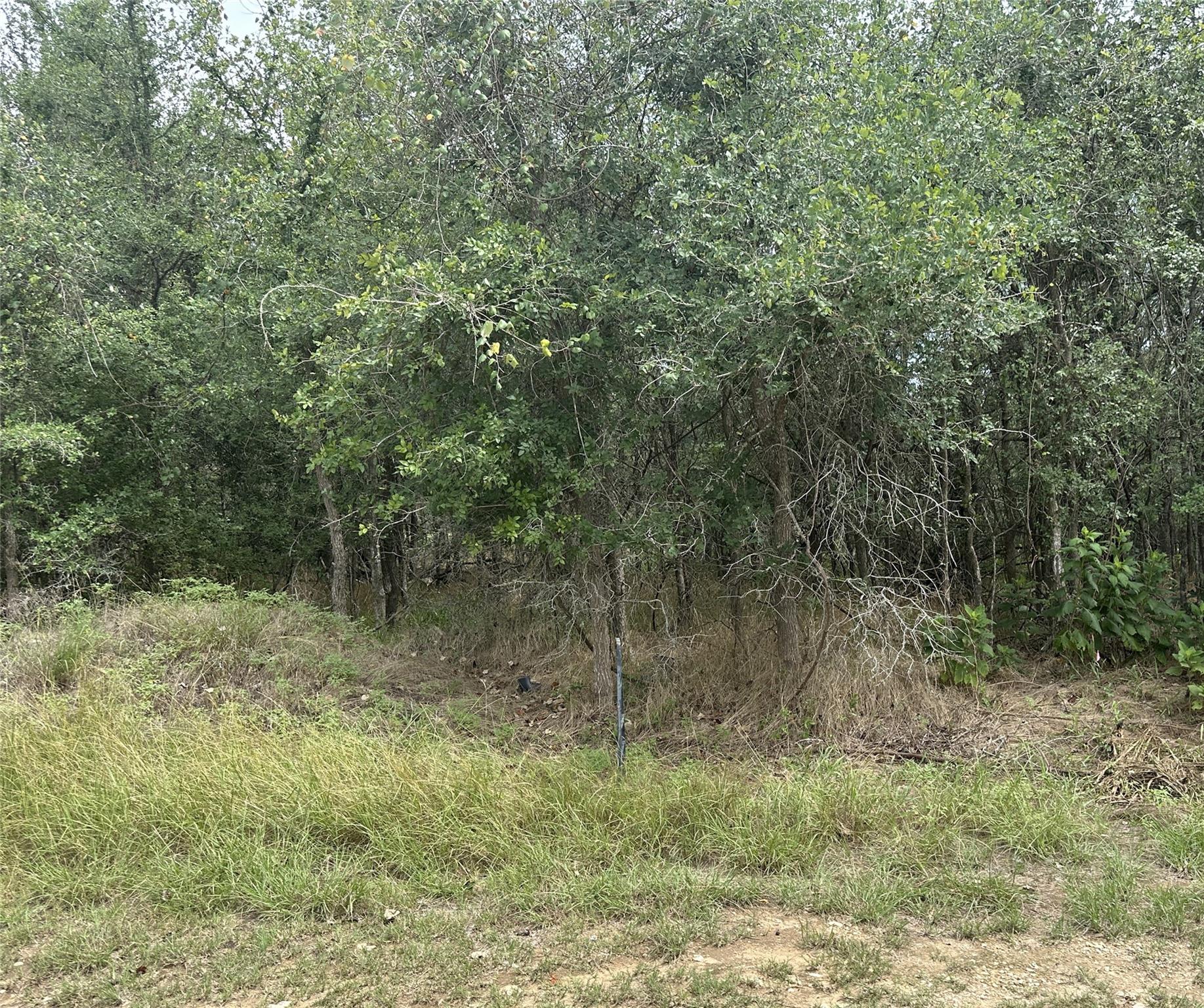 Unimproved Land