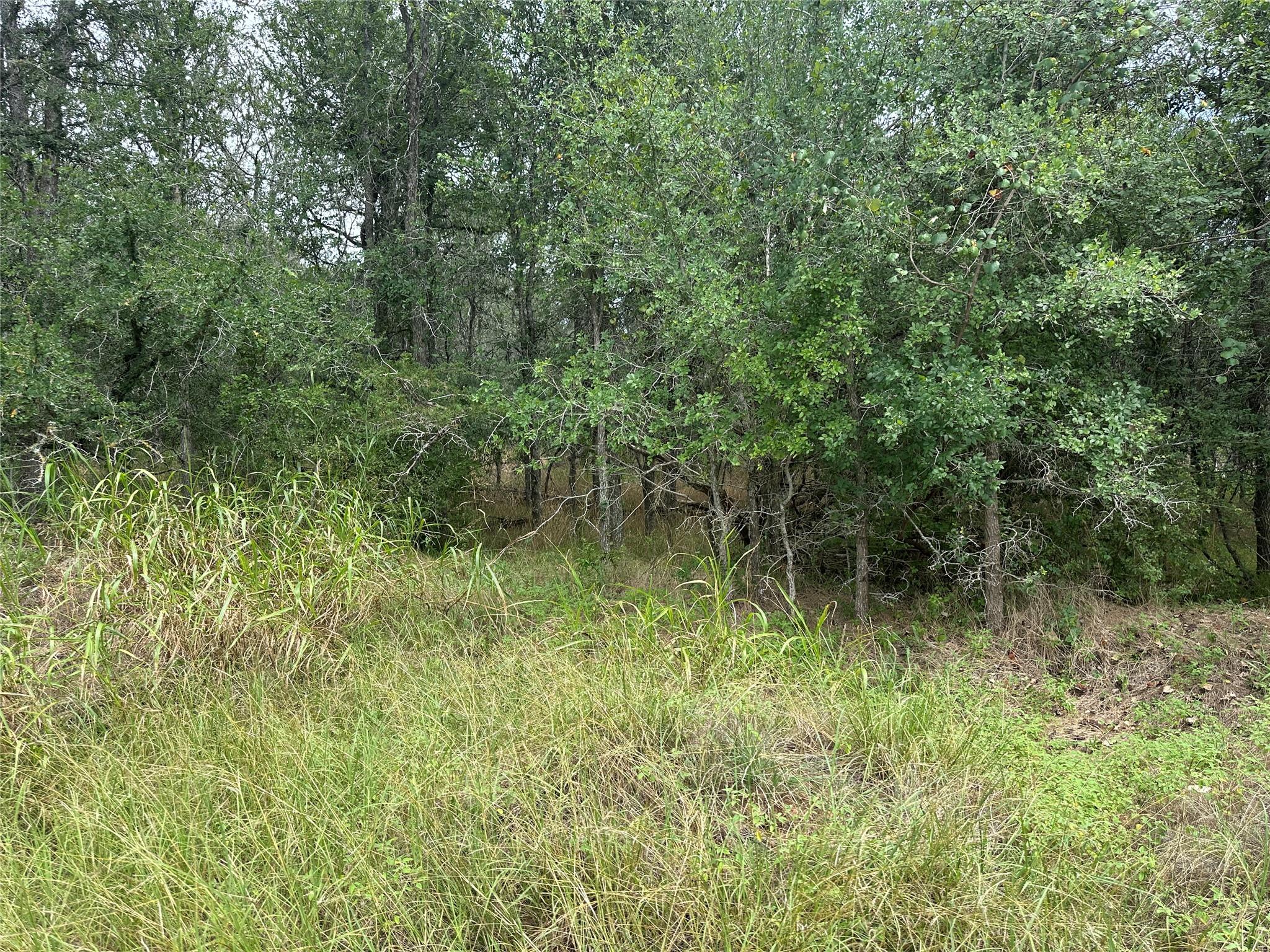 Unimproved Land