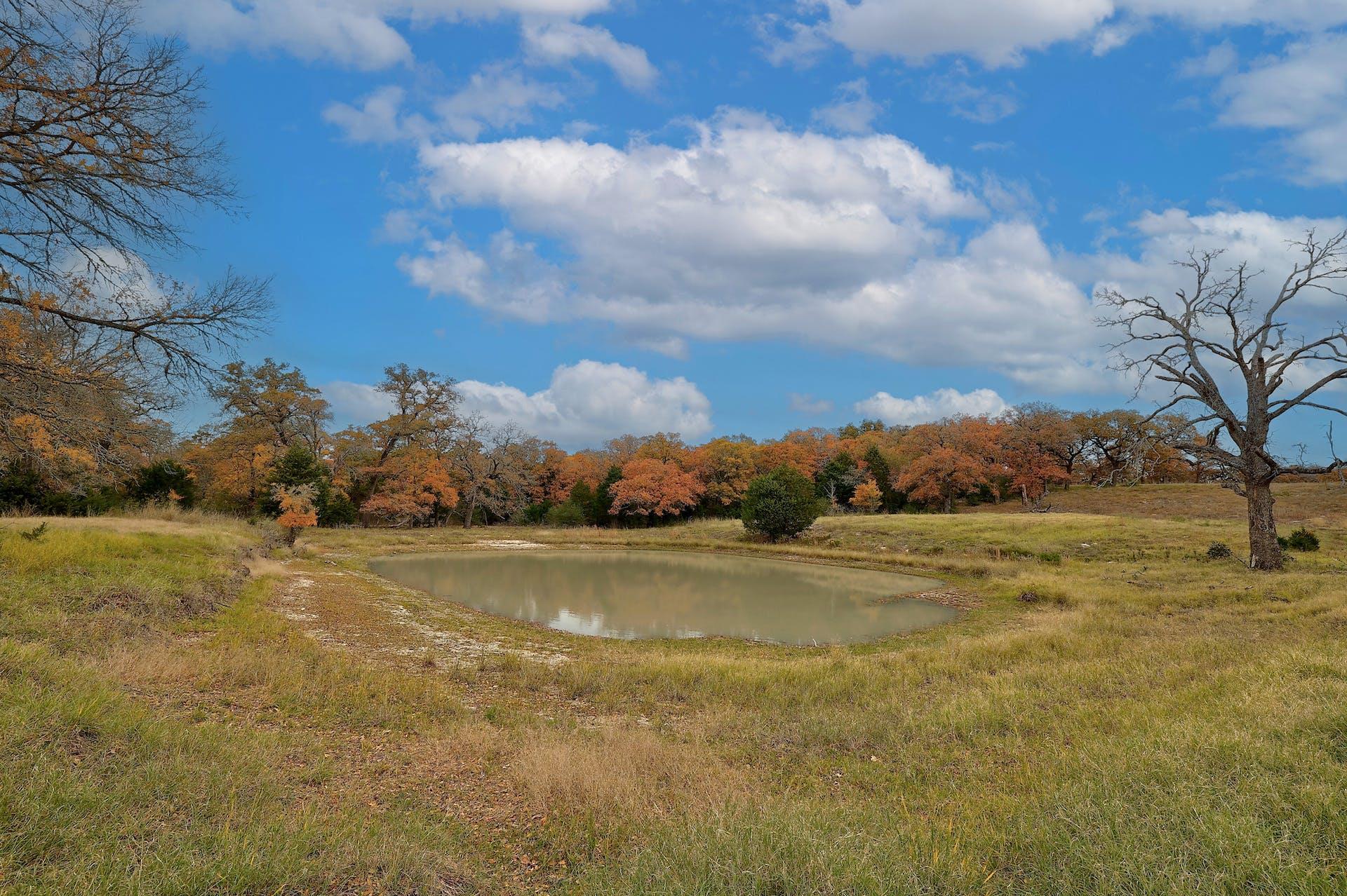 1563 County Road 312