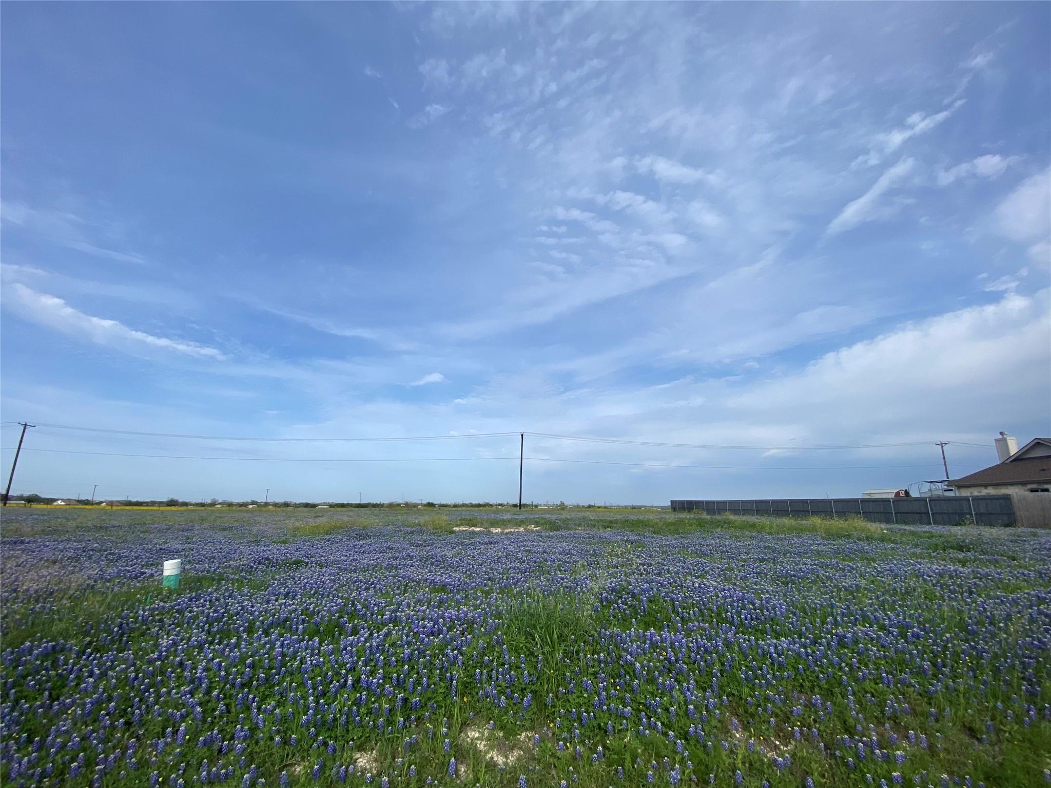 Multiple Lots (Adjacent)