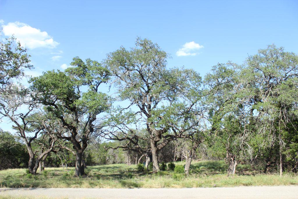 Multiple Lots (Adjacent)