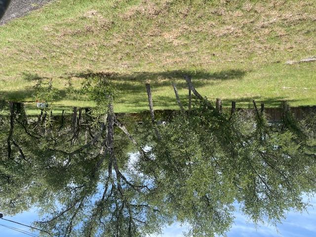 Multiple Lots (Adjacent)