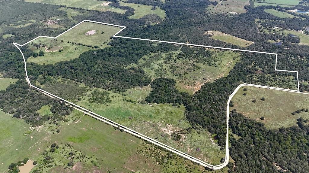 9590 Maynard Hallmark